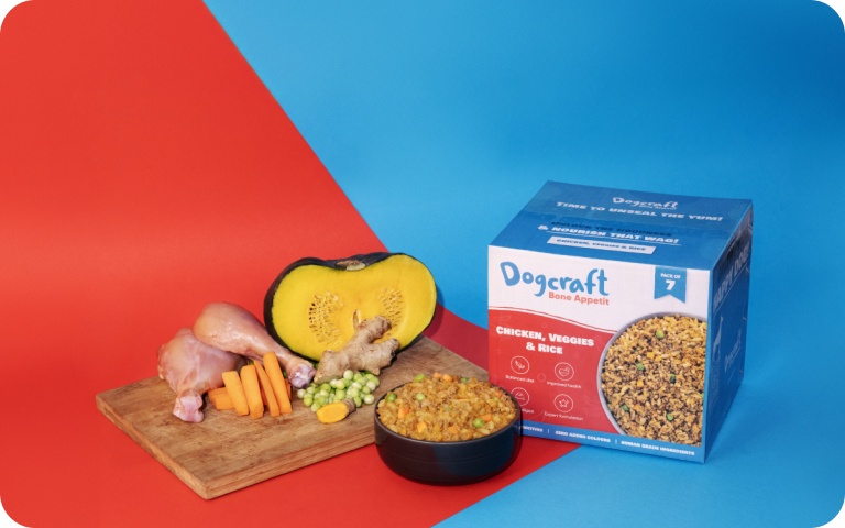 How to Read Dog Food Labels: A Comprehensive Guide for Pet Owners